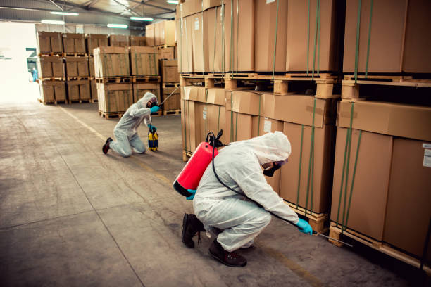 Best Termite Control Services  in Dinuba, CA