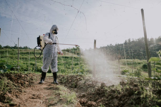 Best Local Pest Control Services  in Dinuba, CA