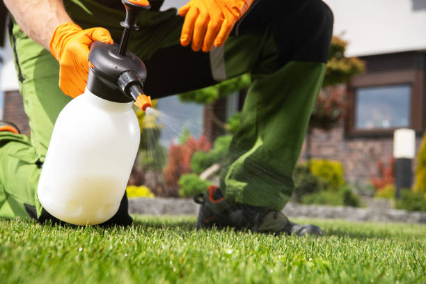 Best Pest Removal Services  in Dinuba, CA