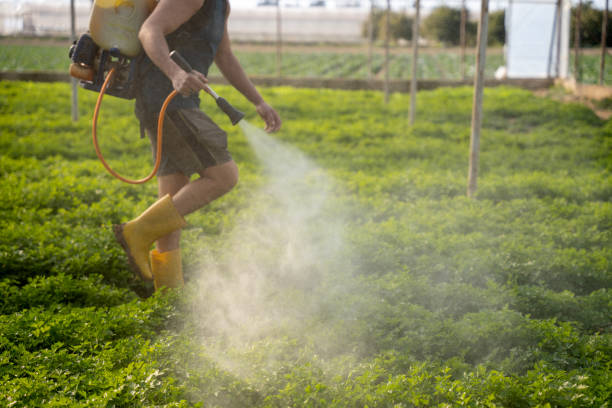 Best Pest Prevention Services  in Dinuba, CA