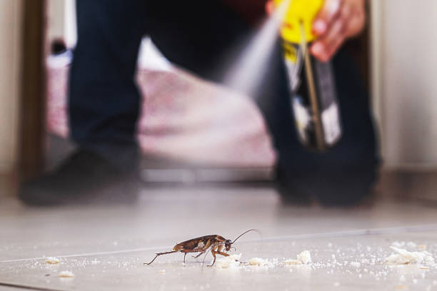 Best Pest Inspection Near Me  in Dinuba, CA