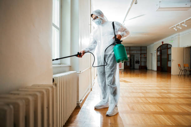 Best Wasp Removal Services  in Dinuba, CA