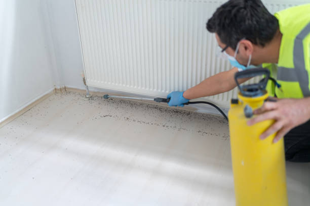 Best Emergency Pest Control  in Dinuba, CA