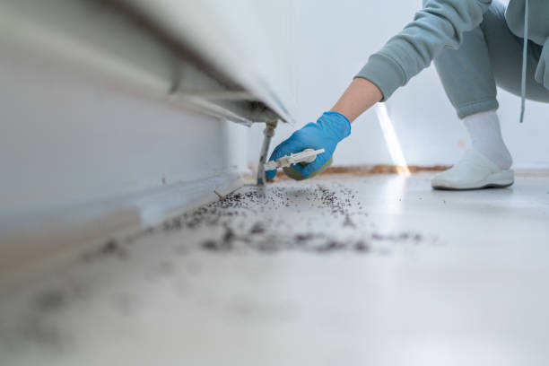 Best Affordable Pest Control Services  in Dinuba, CA