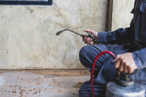 Best Exterminator Services  in Dinuba, CA