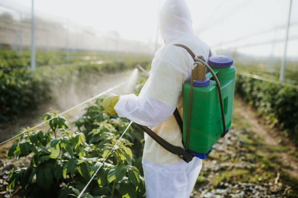 Best Pest Control Near Me  in Dinuba, CA